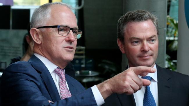 turnbull and pyne