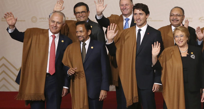 turnbull in vicuna shawl.jpg