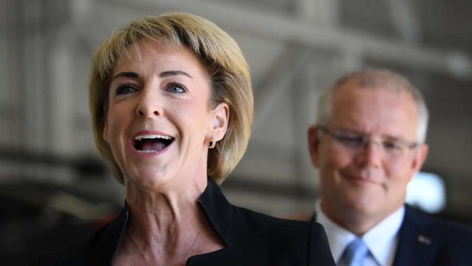 michaelia ute