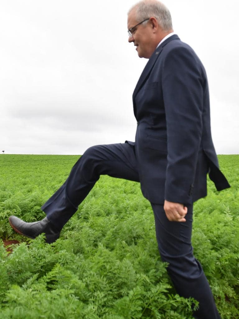 scomo at carrot farm
