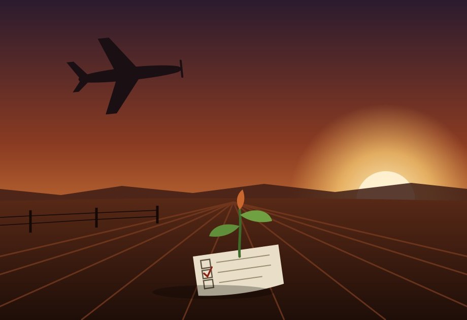 A ticked ballot paper lies half-buried in a ploughed red-earth paddock at sunset, a green seedling sprouting from it, while a small private plane flies overhead.